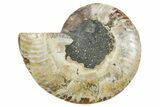 Cut & Polished Ammonite Fossil (Half) - Madagascar #354182-1